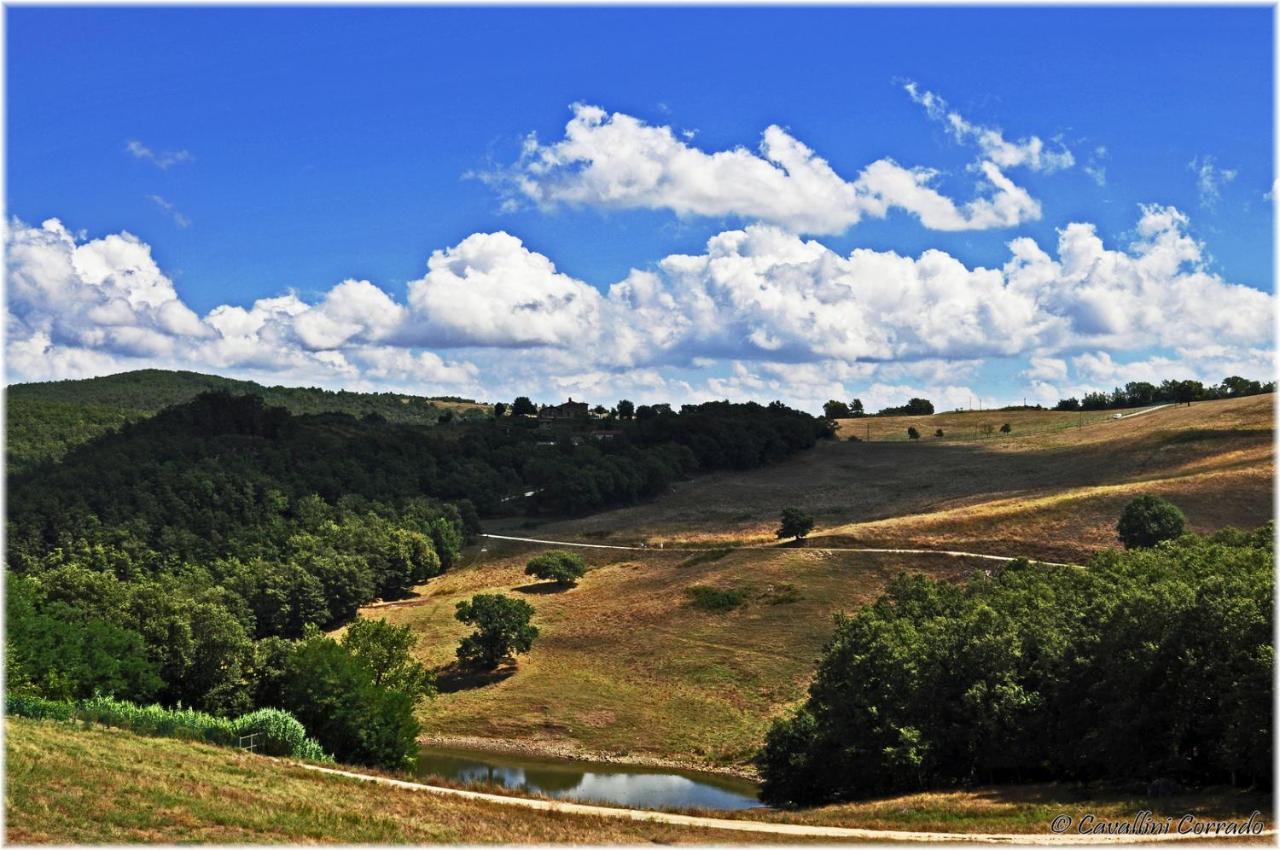 La Casa Del Prete * Montecastrilli